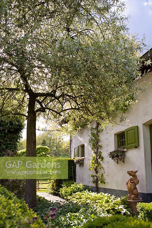 De Romantische tuin - Le jardin romantique de Dina Deferme et Tony Pirotte
