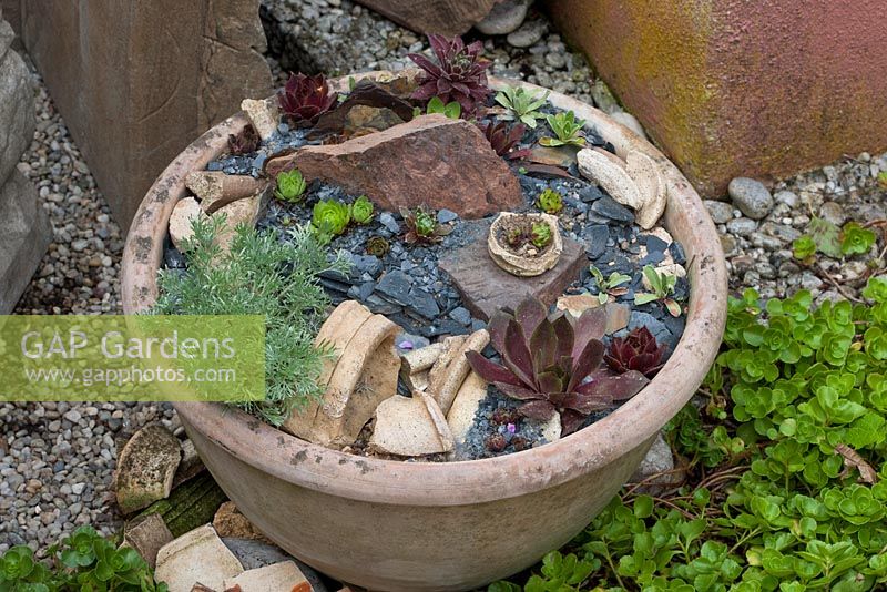 Pot en argile avec un arrangement de pierres, fragments de terre cuite cassés et Artemisia schmidtiana 'Nana', Sedum et Sempervium