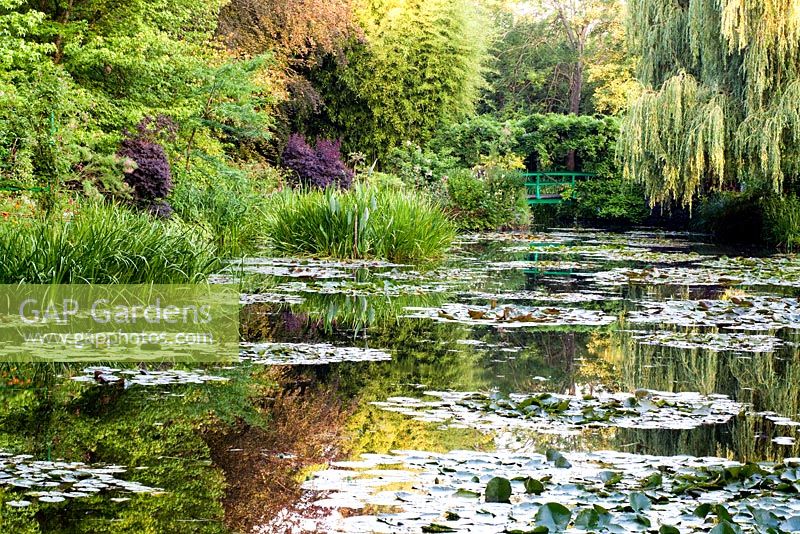 Jardin de Monet, Giverny, France