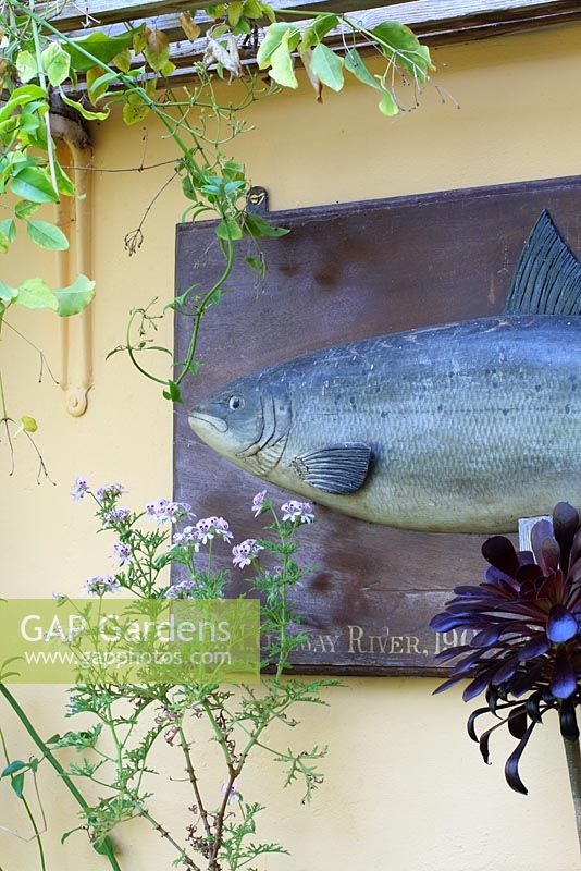 Une plaque en bois d'une réplique de poisson, capturée en Nouvelle-Zélande par un membre de la famille, est accrochée dans la véranda - Sallowfield Cottage B