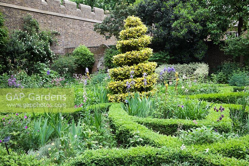 Le Musée du Jardin. Le Tudor a inspiré le parterre avec la spirale Golden Buxus, les aquilèges, les iris, la ciboulette et les herbes.