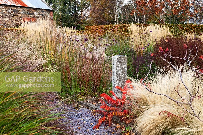 Le Barn Garden avec des plantes vivaces et des graminées mixtes dans des parterres de fleurs naturalistes - The Bay Garden, Camolin, comté de Wexford, Irlande