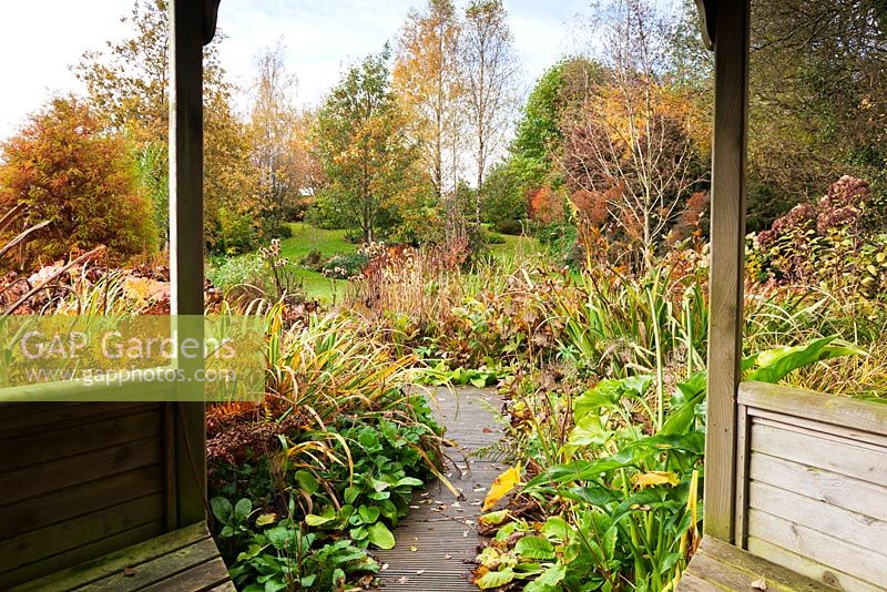 Vue sur le jardin boisé de la maison d'été - The Bay Garden, Camolin, comté de Wexford, Irlande