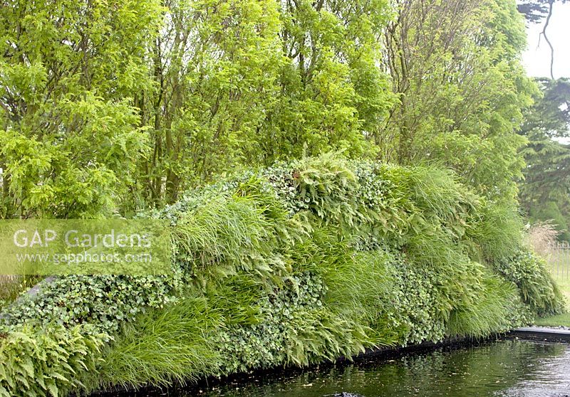 'Bridge Over Troubled Water '- Médaillé d'or et meilleur jardin d'exposition - RHS Hampton Court Flower Show 2012