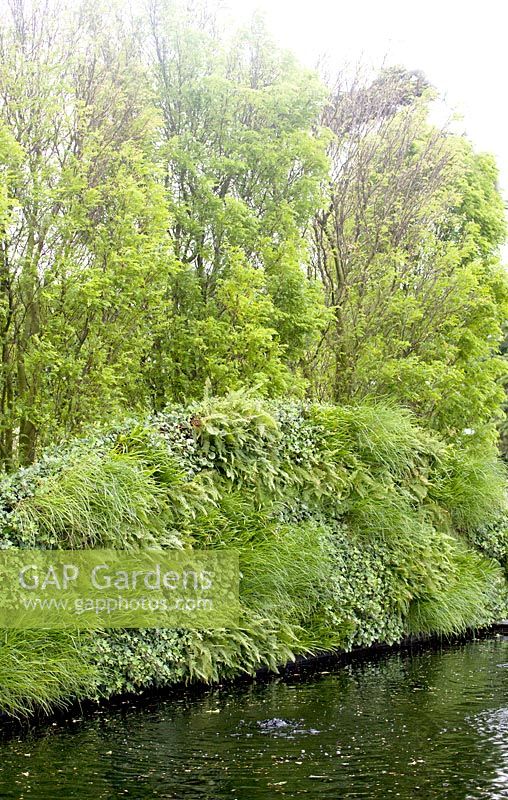 'Bridge Over Troubled Water '- Médaillé d'or et meilleur jardin d'exposition - RHS Hampton Court Flower Show 2012