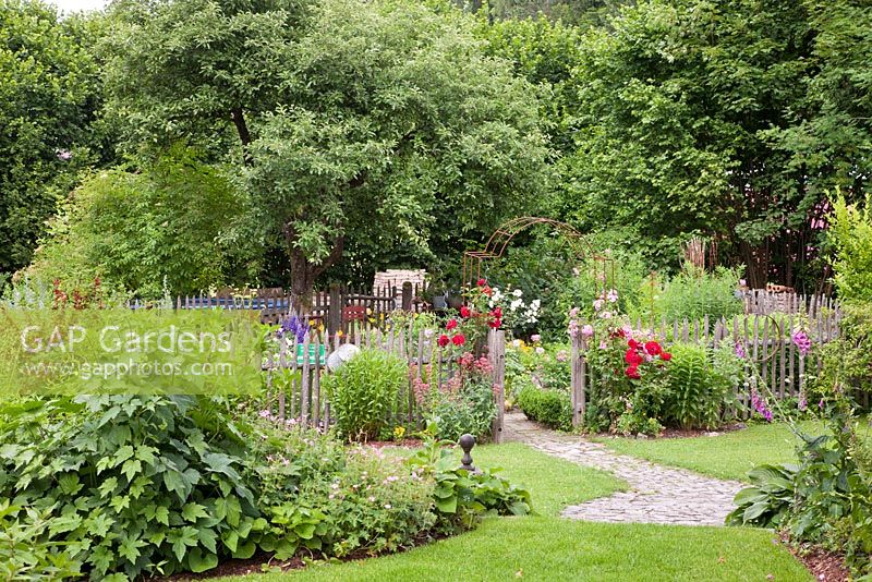 Un chemin pavé de granit mène à l'entrée d'un jardin de campagne allemand traditionnel avec une clôture en bois. Une haie d'arbustes indigènes en pleine croissance, dont Rosa 'Super Dorothy', 'Sympathie', Centranthus ruber 'Coccineus', Digitalis purpurea, Geranium endressii, Currants et Malus