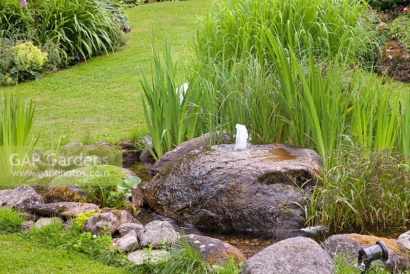 Pierres de puits et rochers de granit comme caractéristique de l'eau avec des plantes de tourbières indigènes et Iris pseudacorus