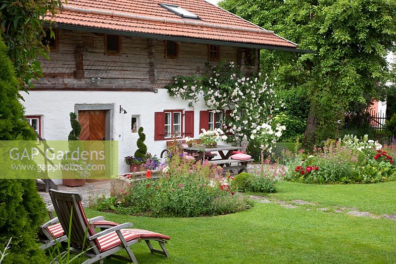 Chaises de terrasse en bois sur une pelouse devant une maison bavaroise de style traditionnel avec volets et rosace grimpante. Les plantes sont Rosa 'Grusse an Bayern', Rosa 'New Dawn', Centranthus ruber 'Albus', Centranthus ruber 'Coccineus' et Petunia
