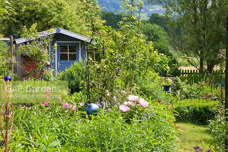 Jardin avec cabane peinte en bleu, un chemin d'herbe tondue et parterres de fleurs avec des sphères de verre bleu et Tulipa, Paeonies