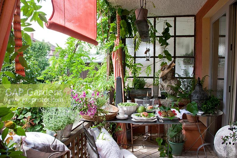 Table de jardin en métal dressée pour le dîner, plantes en pots - Lathyrus latifolius, Lavandula, Salvia officinalis, Thymus