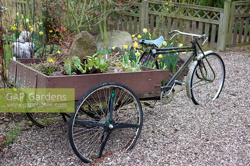 Trike avec remorque comme pot pour plantes printanières et rocaille - Millennium Garden, Lichfield, printemps