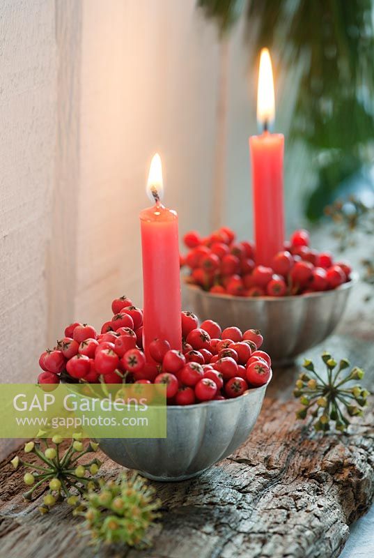 Baies de cotoneaster en petits moules à gelée avec bougies, pour les décorations de table de Noël