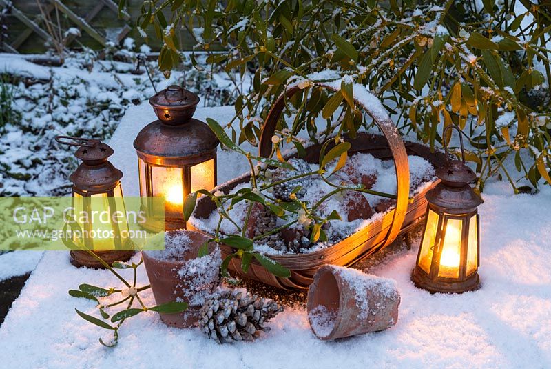 Nature morte sur le thème de Noël dans la neige avec un trug en bois contenant des pots de fleurs et des pommes de pin, des lanternes et du gui