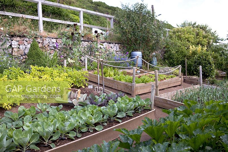 Parterres de fleurs surélevés avec laitue, pommes de terre, poireaux, choux, courgettes, trug de légumes en bois - Lotissement côtier, Mousehole, Cornwall