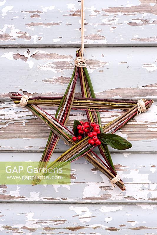 Étoile de Noël faite maison à partir de tiges d'hiver colorées et de baies de Cotoneaster