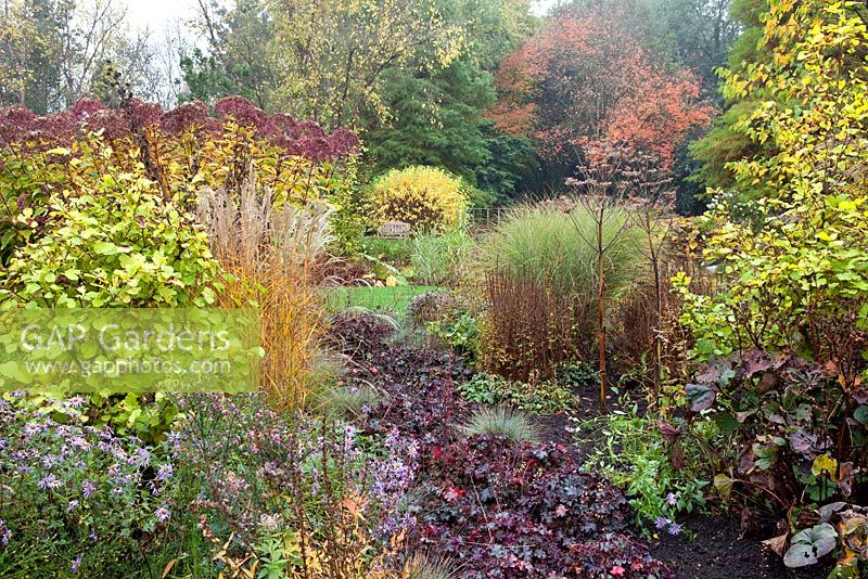 Parterre d'automne à Foggy Bottom, les jardins de Bressingham, Norfolk, Royaume-Uni. Octobre.