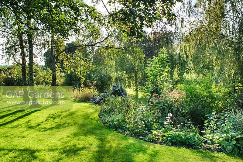 Vue sur pelouse ensoleillée avec des bouleaux et des parterres mixtes - Sally et Don Edwards, 15 Abbots Way, Horningsea, Cambridgeshire.