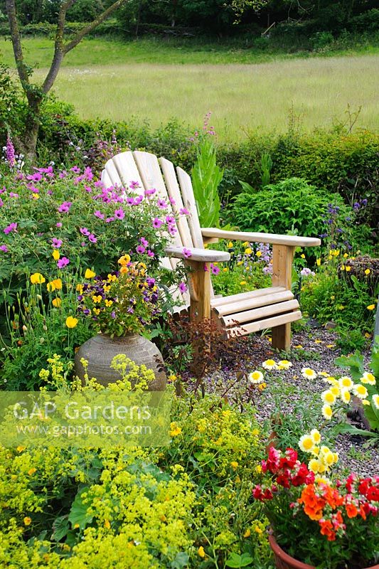 Chaise de jardin Adirondack entourée de Geranium psilostemon et Alchemilla mollis. Pots avec Pelargoniums, Altos, Nemesias et Marguerites. Haie avec prairie en arrière-plan
