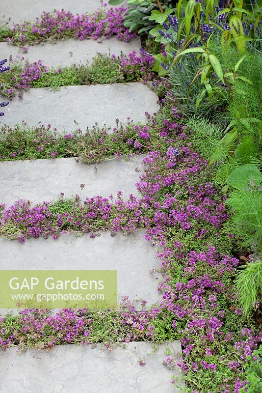 Un jardin de récolte urbaine - RHS Hampton Court Flower Show