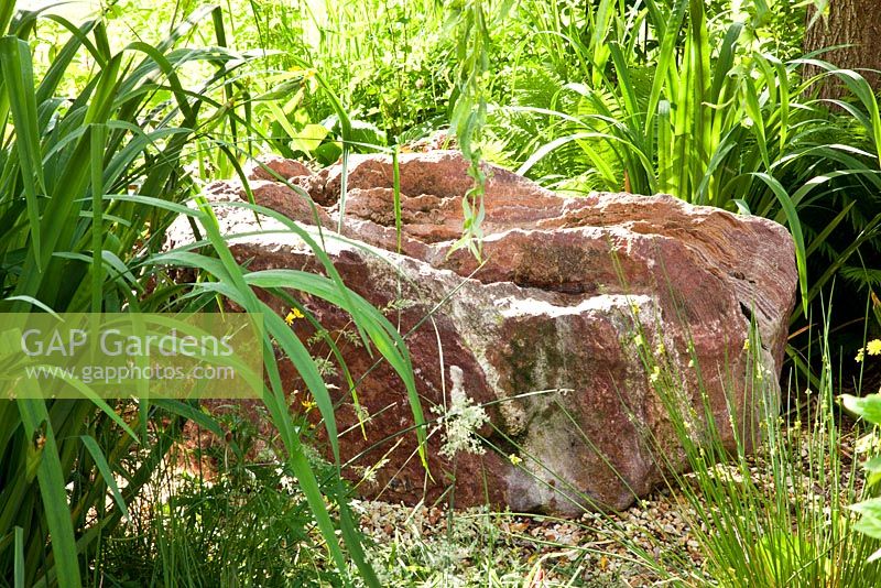 Rocher décoratif à côté de la plantation de tourbières Iris pseudacorus et Juncus