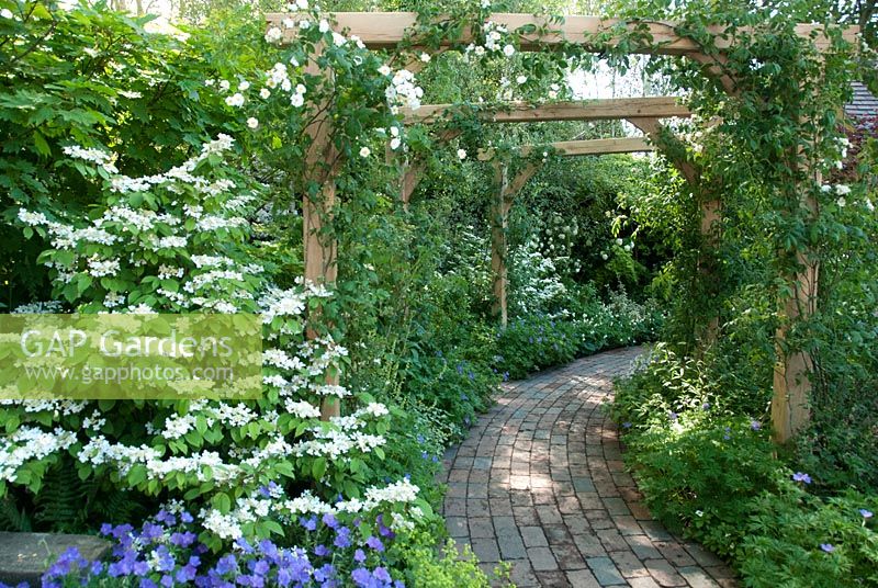Pathway et Vibernum plicatum mareseii dans le jardin M and G, médaillé d'argent, RHS Chelsea Flower Show 2010