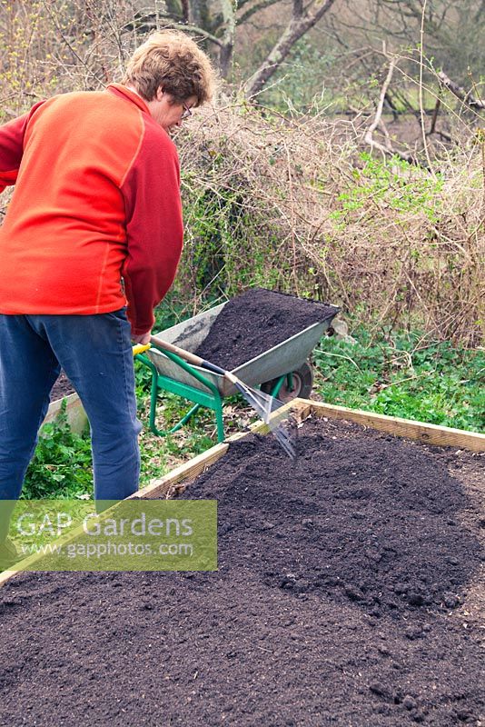 Utiliser des déchets municipaux compostés pour remplir un parterre de fleurs surélevé.