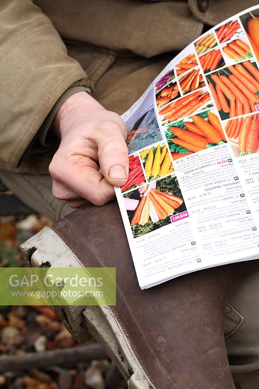 Jardinier mâle sélectionnant des variétés de carottes dans un catalogue de semences