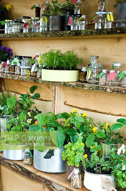 Étagères d'ustensiles de cuisine recyclés utilisés pour la culture de plantes et pots étiquetés utilisés pour le stockage des graines dans un abri de jardin - 'George's Marvellous Garden' - RHS Malvern Spring Show 2012