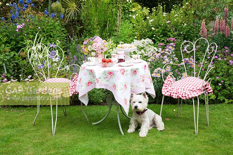 Jolie table dressée pour le thé. Archie le chien veille! Voisins du jardin