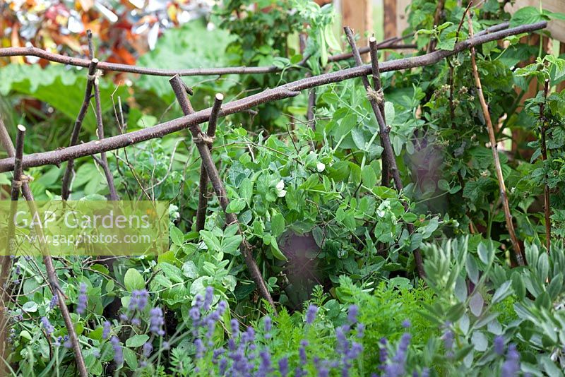 Bordure décorative - 'George's Marvelous Medicine' - Gagnant du meilleur jardin scolaire - BBC Gardeners World Live