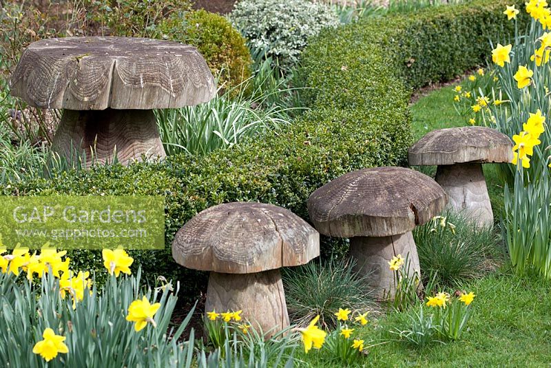 Crapauds en bois au Millennium Garden, Lichfield, au printemps