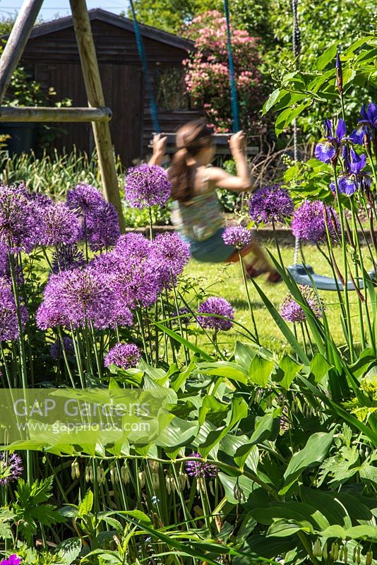 Jeune fille jouant sur la balançoire, Iris sibirica et Allium aflatunense en premier plan