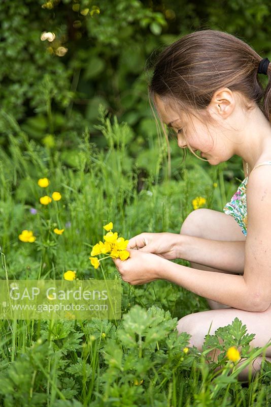 Jeune fille cueillant Ranunculus repens - Renoncules rampantes