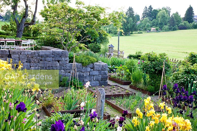 Jardin rural avec mur en pierre en terrasses et potagers végétaux en acier corten. Les plantes sont Allium fistulosum, Iris germanica et légumes