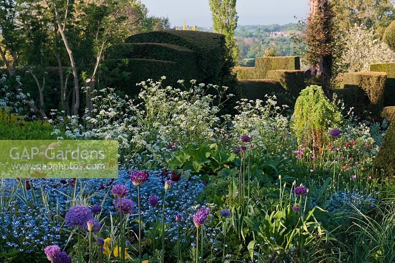 Parterres de fleurs informels larges avec Alliums, oubliez-moi pas, persil de vache, Euphorbia et géraniums. Great Dixter, East Sussex