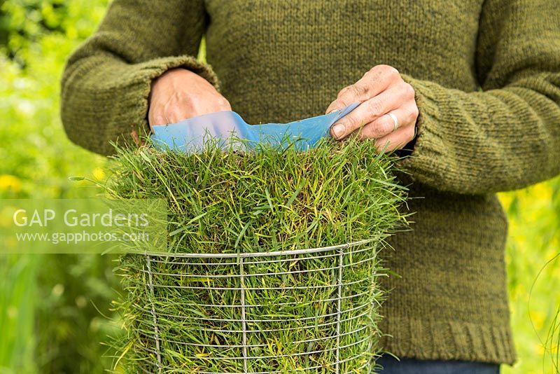 Étape par étape - Création d'un pot de gazon à l'aide de 'Frosted Curls' de Carex comans - placement d'un revêtement en plastique au centre du pot