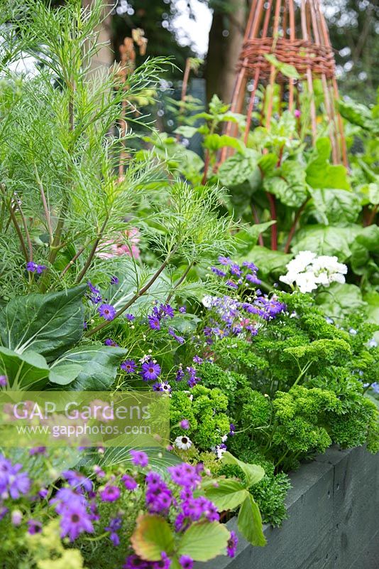 Bordure de légumes en relief mixte avec des herbes, des légumes et des plantes compagnes de floraison