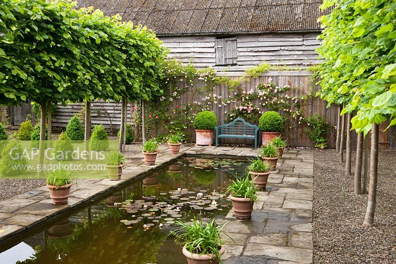 Le canal, encadré de limes blanchies et de pots d'agapanthe, avec un siège à l'extrémité entouré de Rosa 'Albertine' rose à droite et de Rosa 'Musc himalayen de Paul' à gauche. Ashley Farm, Stansbatch, Herefordshire, Royaume-Uni