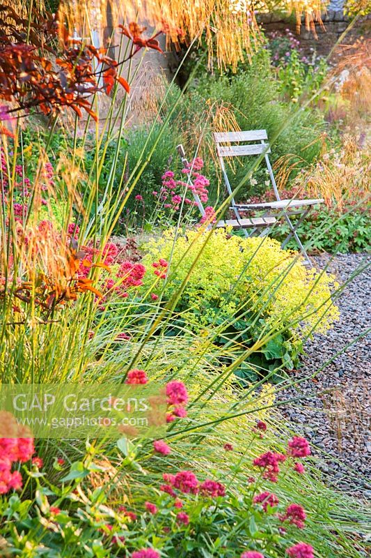 Chaises de jardin au bord du jardin de gravier encadrées par Stipa gigantea, Centranthus ruber et Alchemilla mollis. Fowberry Mains Farmhouse, Wooler, Northumberland, Royaume-Uni