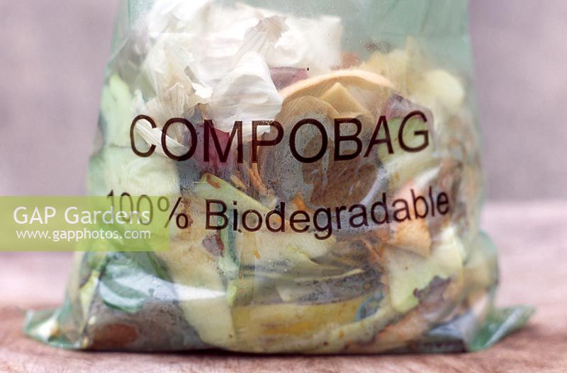 Un sac de compost 100% biodégradable plein d'écorces de légumes, de papier déchiqueté et de sachets de thé prêts à être mis dans le compost