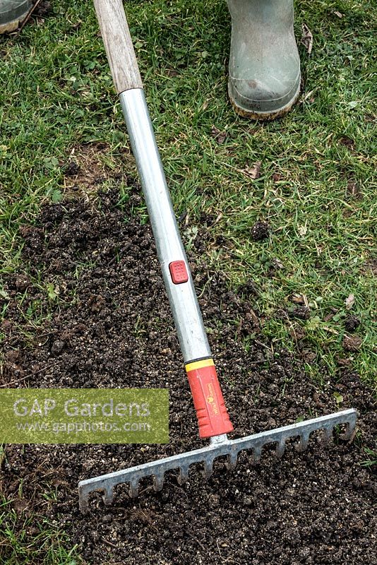 Réparer une pelouse endommagée - bande de roulement et râteau