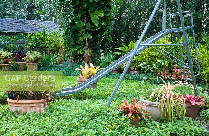 Équipement de jeux pour enfants dans le jardin avec plantation mature de Codiaeum 'Zanzibar', Helianthus, Aechmea, Neoregelia et Ananas comosous 'Variegatus'