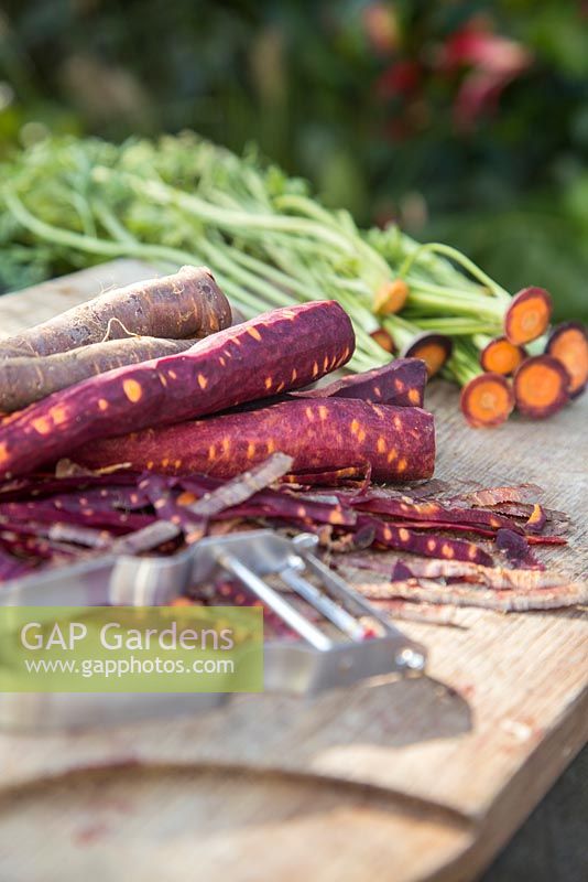 Carotte 'Purple Haze' - carottes pelées et hachées sur une planche à découper