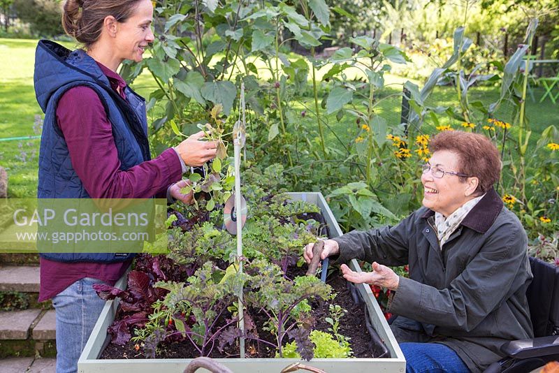 Femme d'âge moyen aidant une femme âgée handicapée avec le jardinage