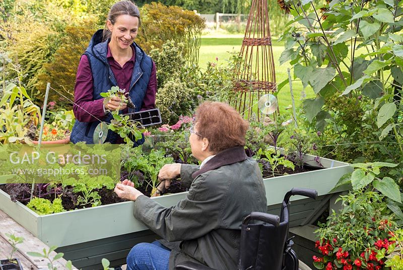 Femme d'âge moyen aidant une femme âgée handicapée avec le jardinage