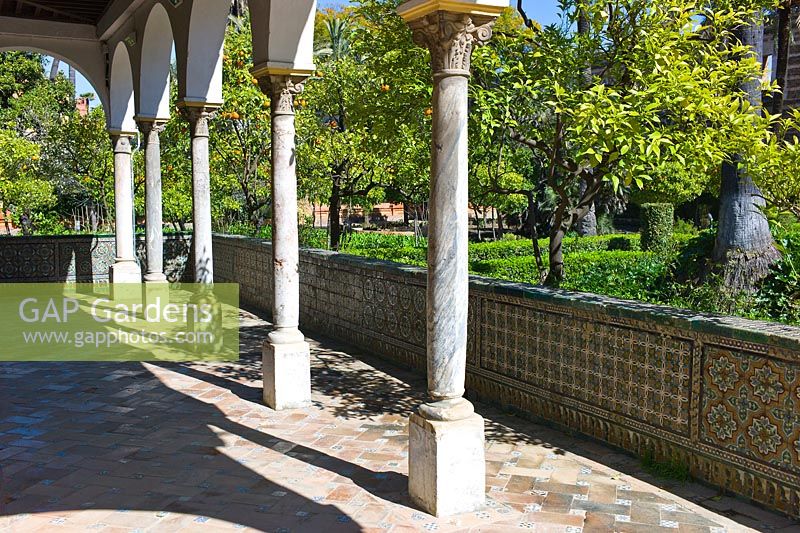 Le pavillon de Carlos V.Murs décorés de carreaux Azulejos donnant sur le jardin de la demeure avec des orangers de Séville Citrus aurantium au Real Alcalzar, Séville, Andalousie, Espagne
