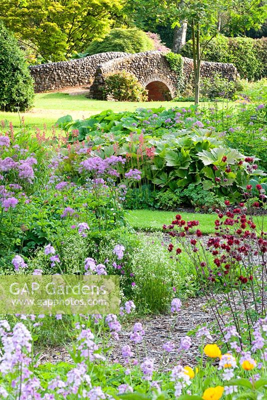 Le jardin Dell, les jardins de Bressingham. juin