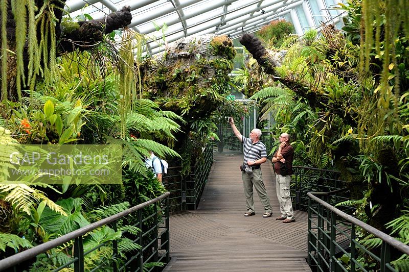 Les touristes traversent la Cool House, pour des plantes plus sensibles aux climats plus tempérés.