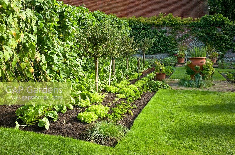 Un superbe jardin avec cuisine qui fournit non seulement aux propriétaires des fruits et légumes réguliers mais aussi un excellent café en terrasse. Pashley Manor House and Gardens.