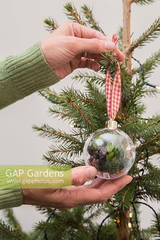 Placer des boules naturelles sur un arbre de Noël. Fabriqué avec des boules vides, du ruban, des cônes cueillis, du feuillage et des baies